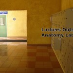Downstairs Lockers Downstairs Lockers