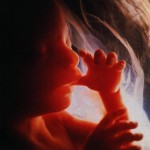 BABY3