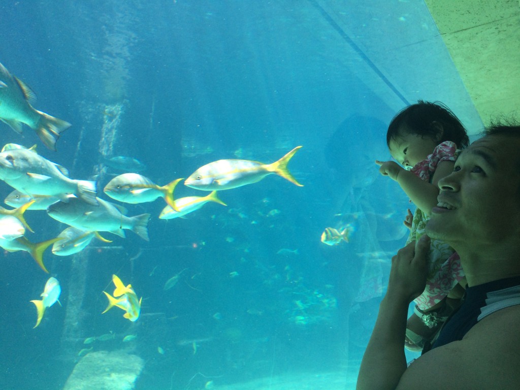 Showing Lyra the colorful fish at Atlantis resort.